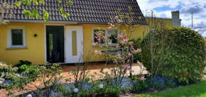 Гостиница Ferienhaus Sonneck  Амт Рибниц-Дамгартен